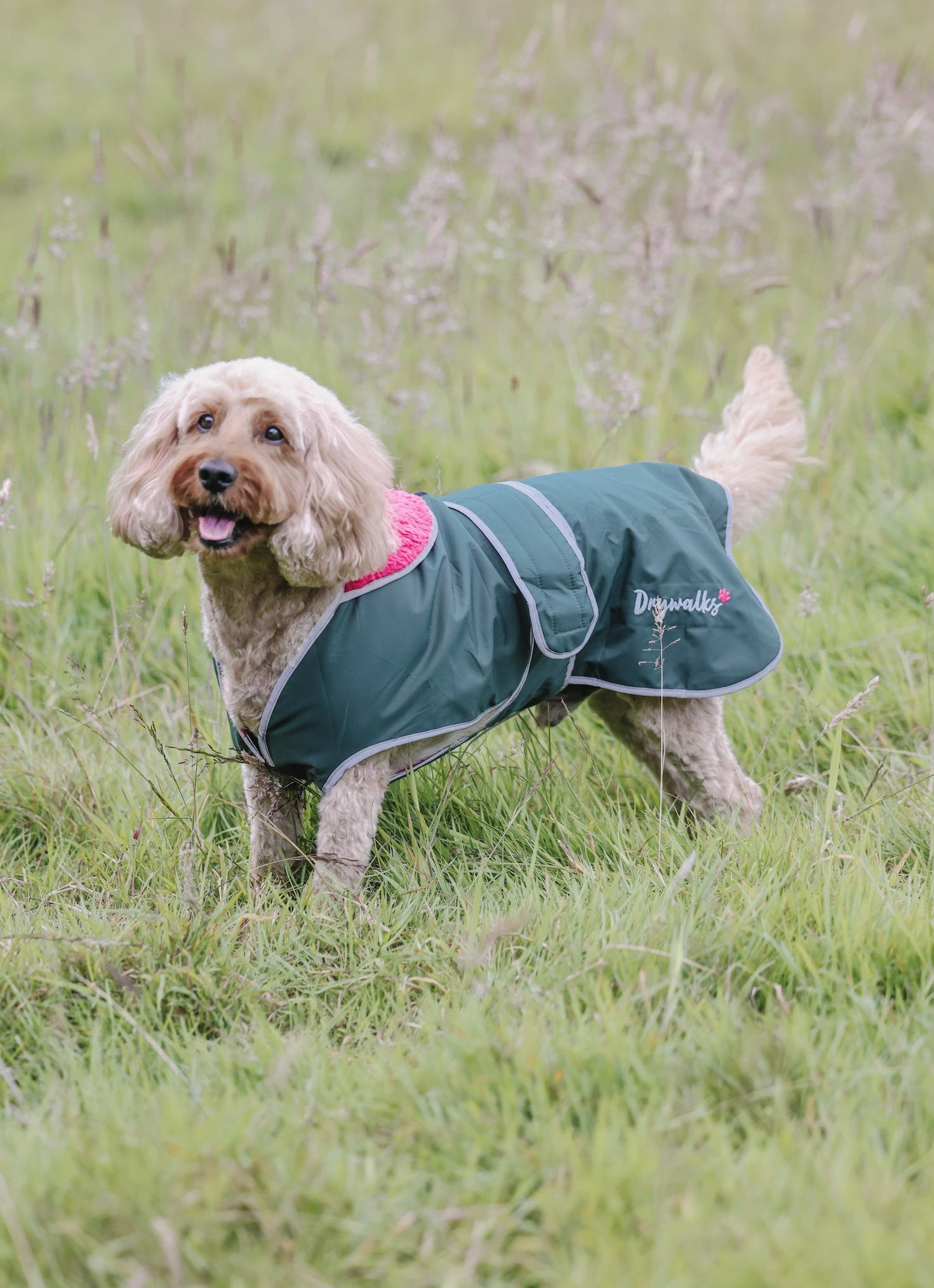 Drywalks Waterproof Dog Coat in black forest green/pink