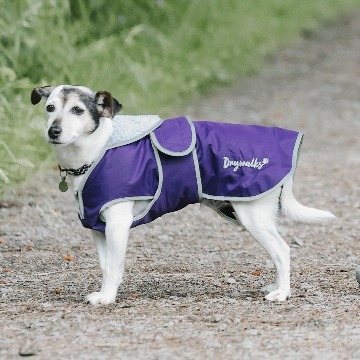 Purple Best Waterproof Dog Walking Coat Uk Drywalks Waterproof