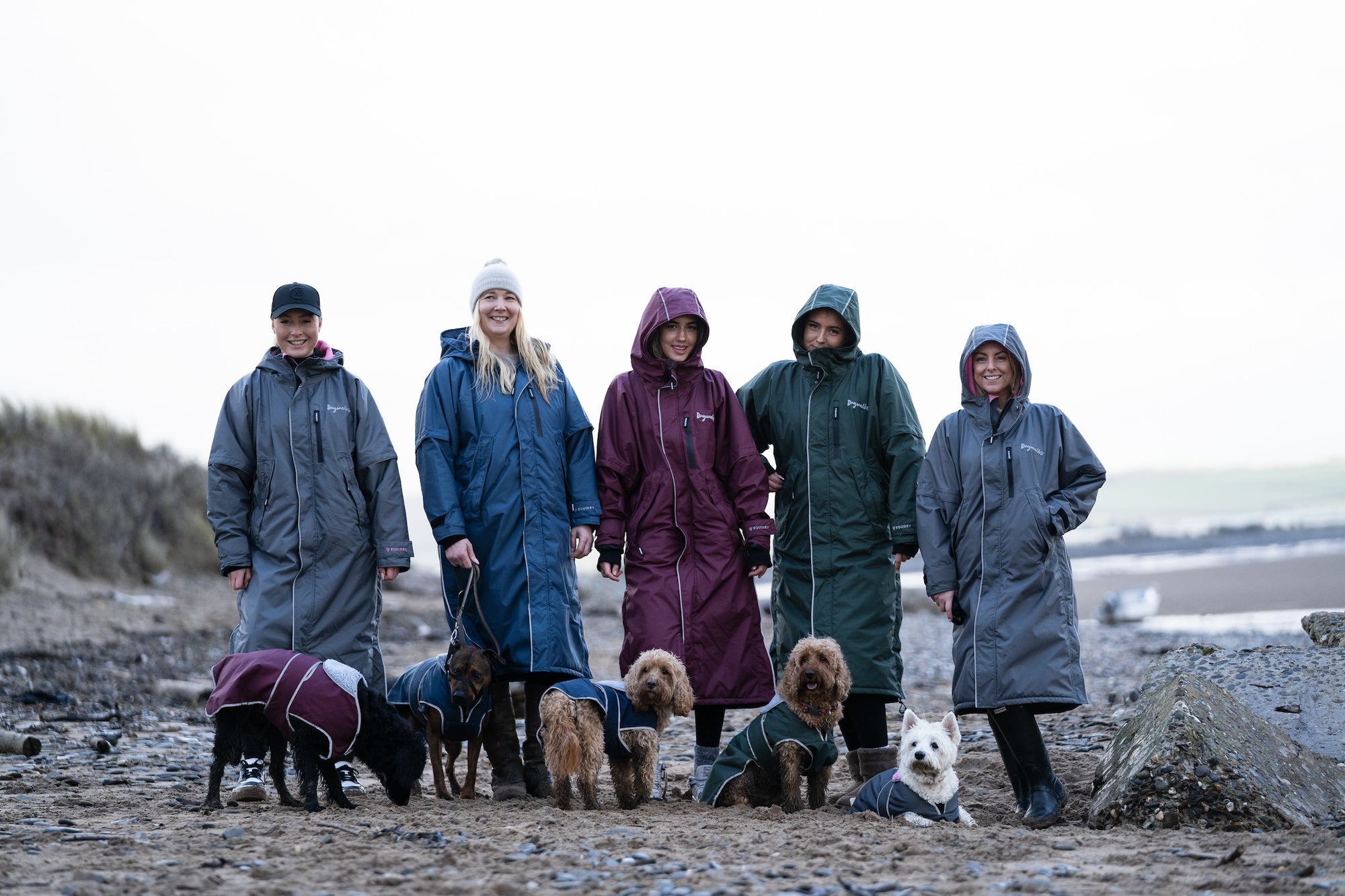 When can I take my puppy for a walk?