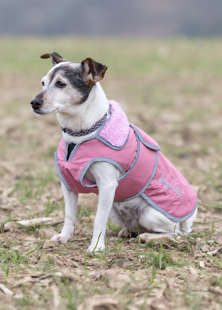 Waterproof Dog Coat | Dusky Pink