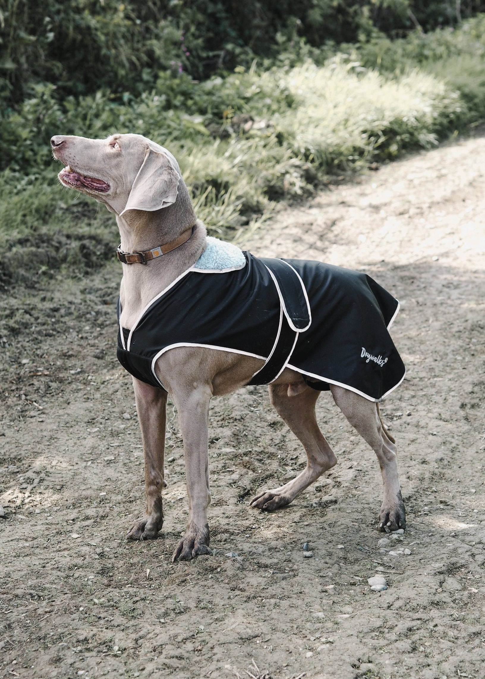 Drywalks Waterproof Fleece Lined Dog Coat Black Reflective
