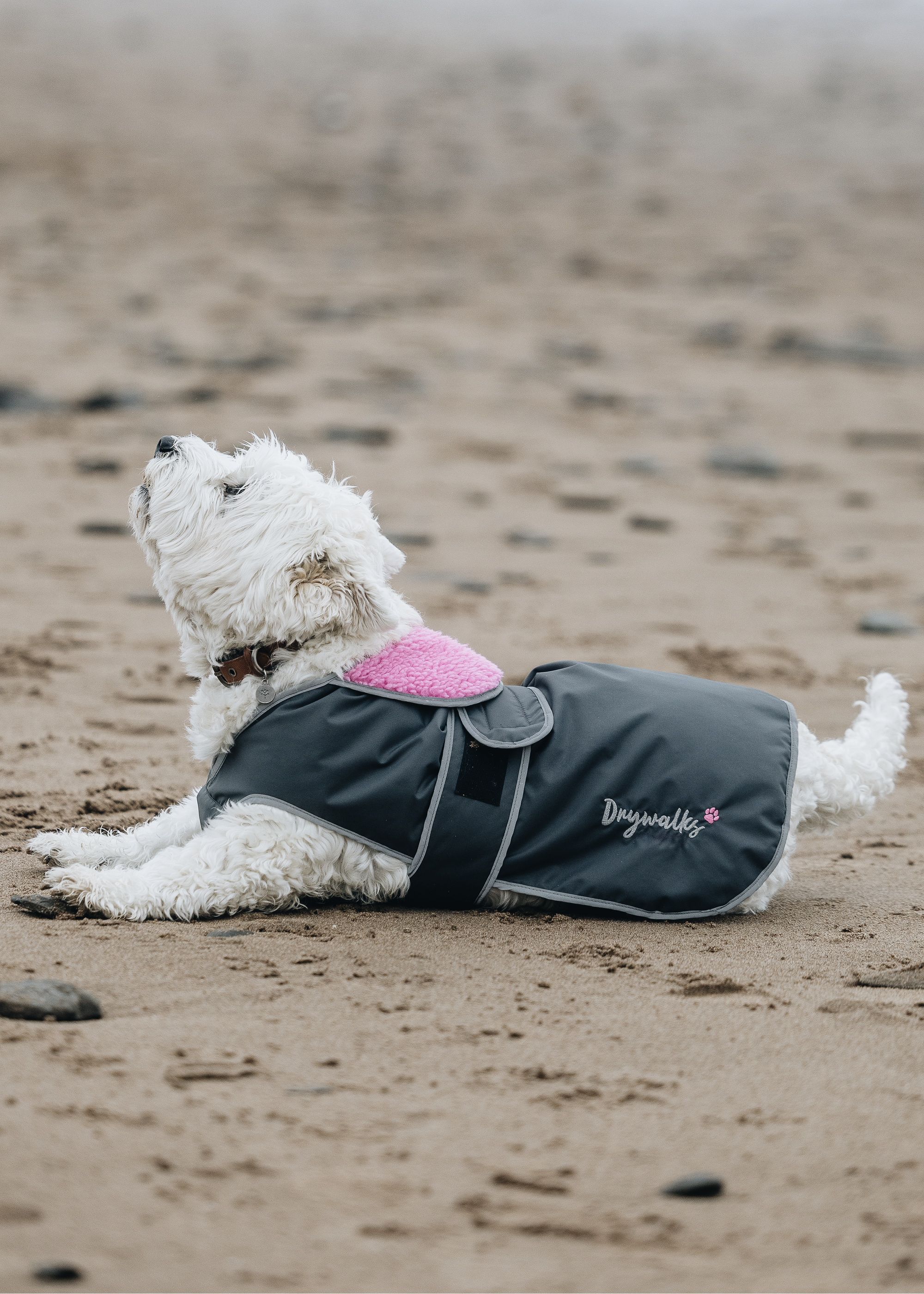 Waterproof Dog Coat | Charcoal