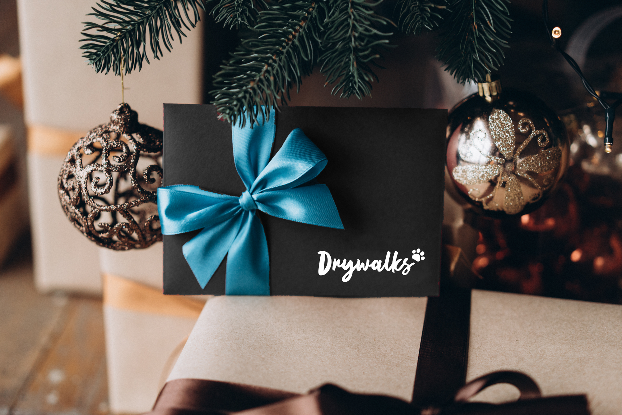 Drywalks | Digital E-Voucher
